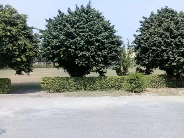 Property for rent in Rawalpindi, Islamabad Capital Territory
