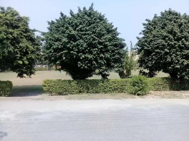 Property for rent in لاہور, لاہور ڈویژن