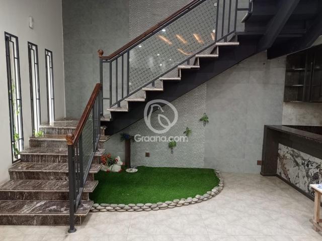 House for rent