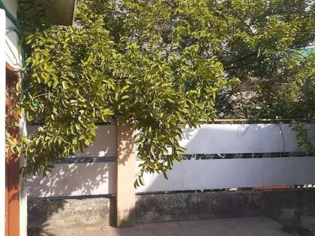 House for rent in Rawalpindi, Islamabad Capital Territory