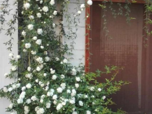 House for sale in Multan, Islamabad Capital Territory