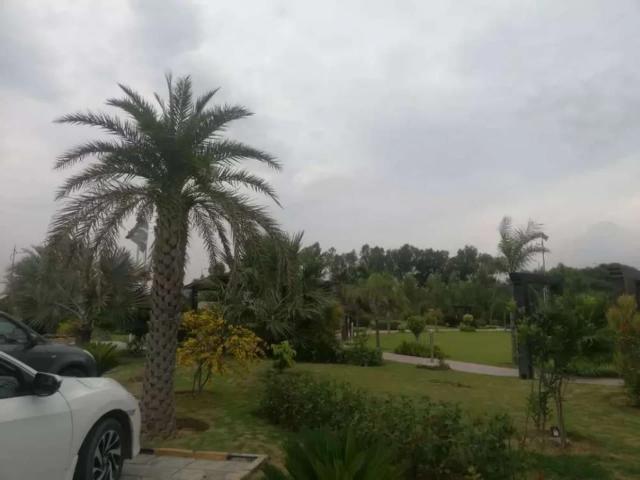 Land for sale in Islamabad