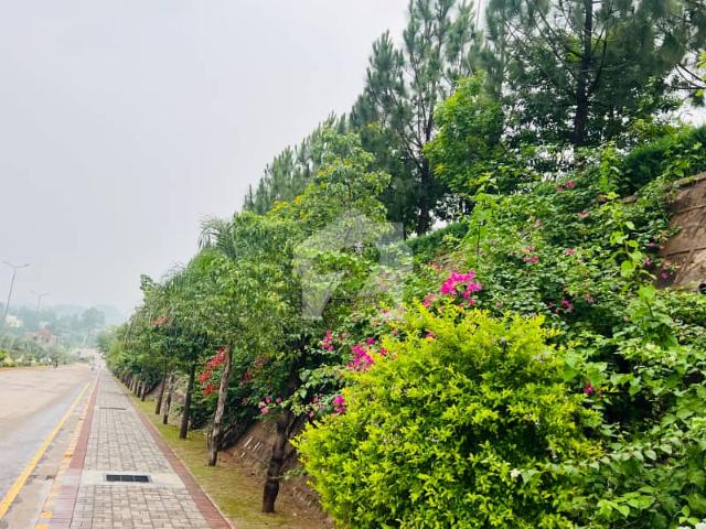 Property for sale in Islamabad