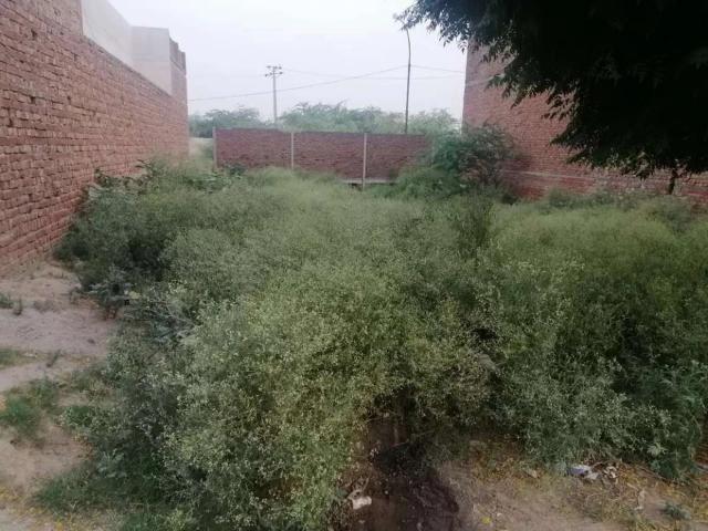 Land for sale in Faisalabad, Islamabad Capital Territory