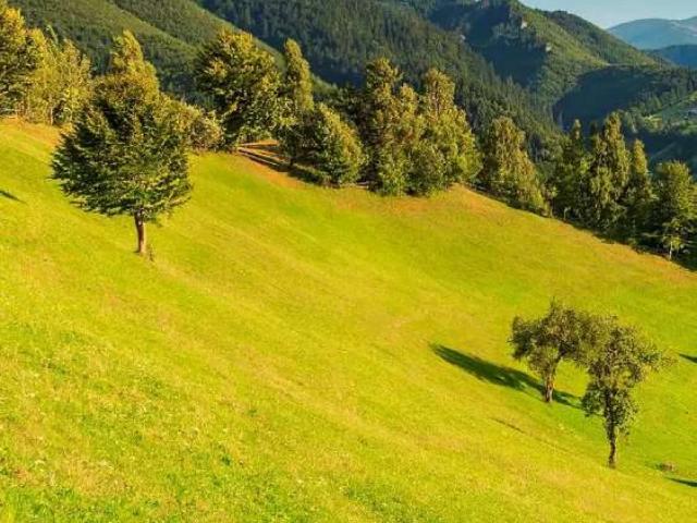 Land for sale in Taxila, Islamabad Capital Territory