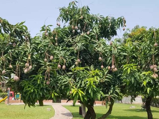 Land for sale in بحریہ ٹاؤن‬‎, مراکہ