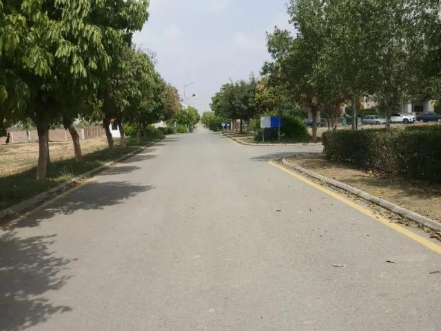 Land for sale in کوٹ سندر سنگھ, لاہور ڈویژن