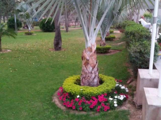 Land for sale in Rawalpindi, Islamabad Capital Territory