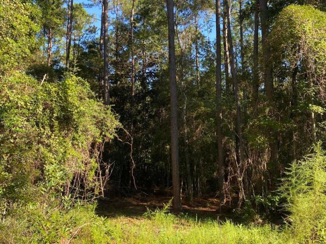 Land for sale in Mississippi