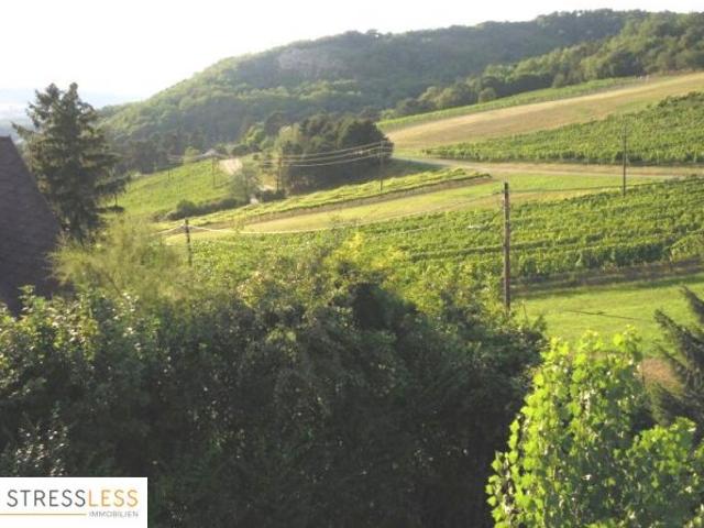 Einfamilienhaus mieten in Langenzersdorf, Niederösterreich