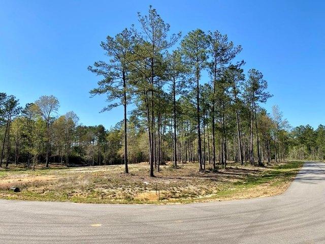 Land for sale in Carriere, Mississippi