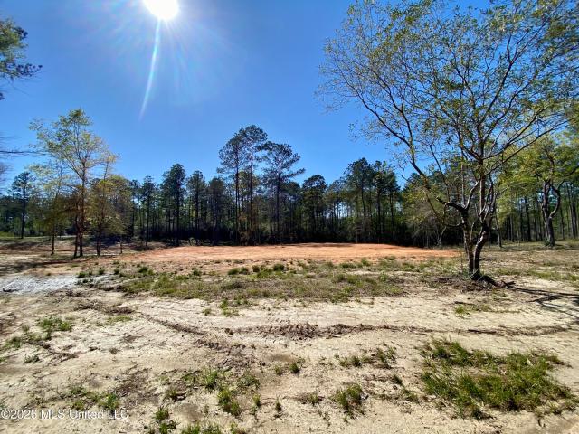 Land for sale in Carriere, Mississippi