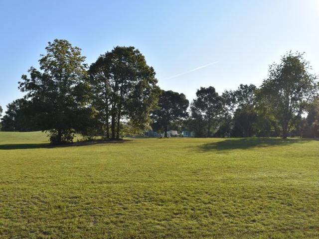 Land for sale in Manning, Clarendon County