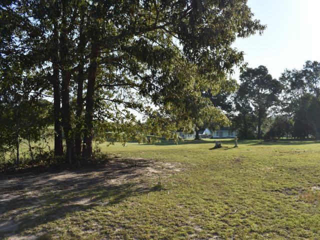 Land for sale in Manning, Clarendon County