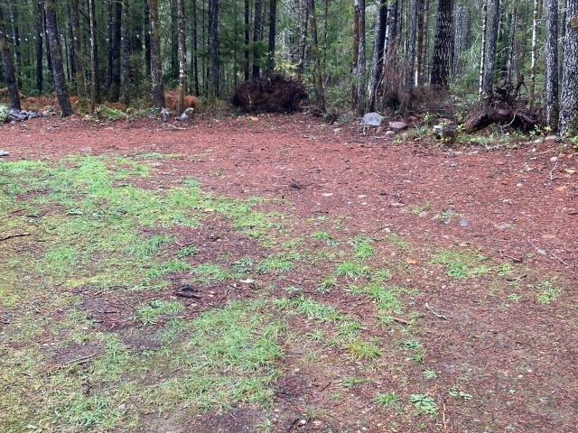 Land for sale in Hoodsport, Washington