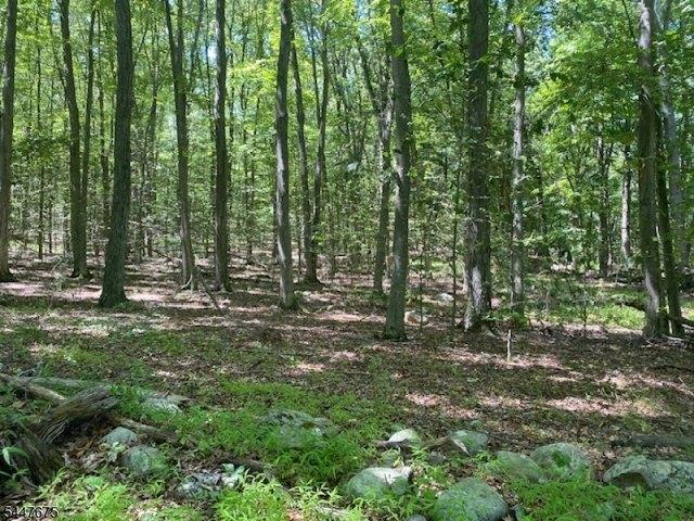 Land for sale in New Jersey