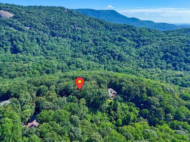 Land for sale in Landrum, Spartanburg County