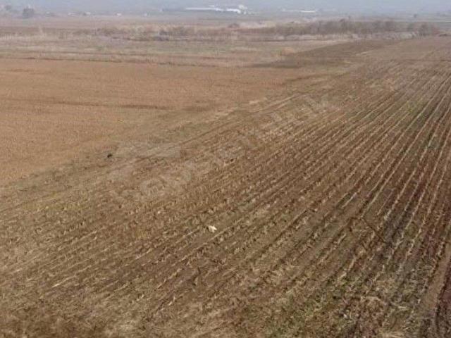 Gökçeyazı, İvrindi içerisinde satılık Arsa