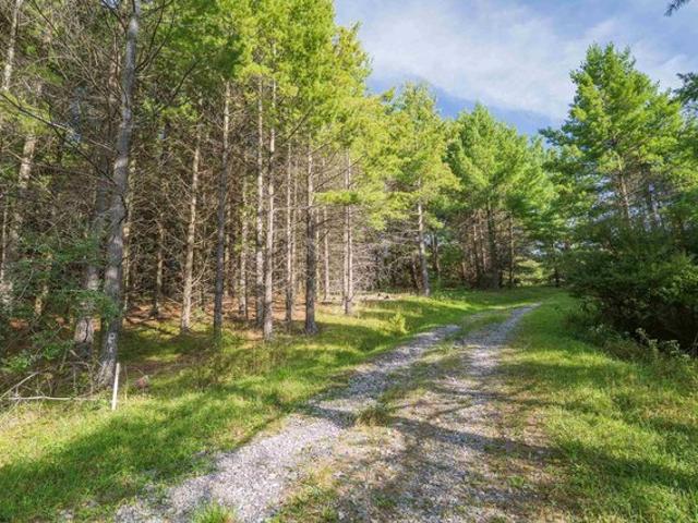 Land for sale in Davis, Tucker County