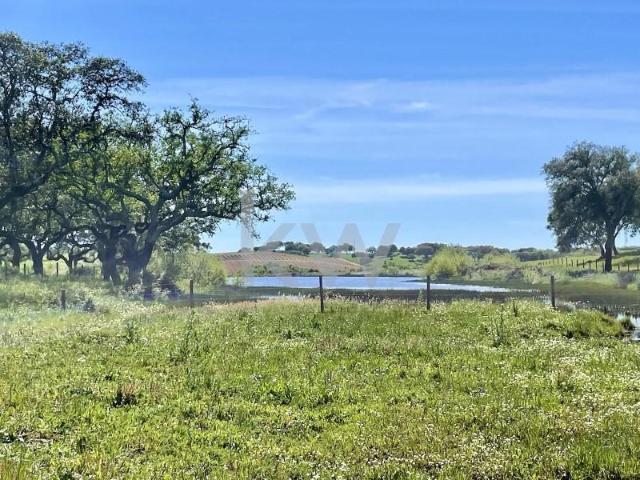 Terreno venda em Montemor-o-Velho e Gatões, Montemor-o-velho