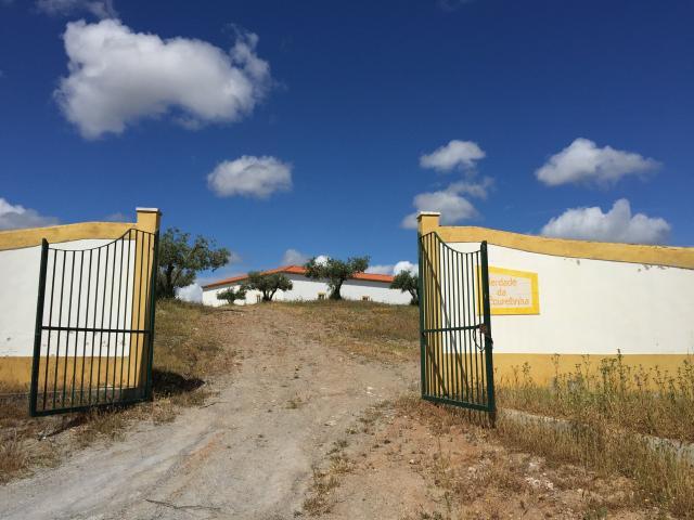 Terreno venda em Mourã, Beja