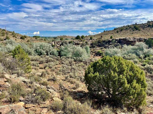 Land for sale in Montezuma, Colorado