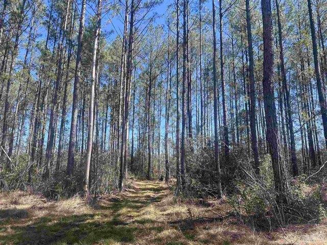 Land for sale in Atmore, Alabama