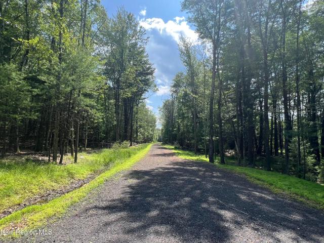 Land for sale in New York