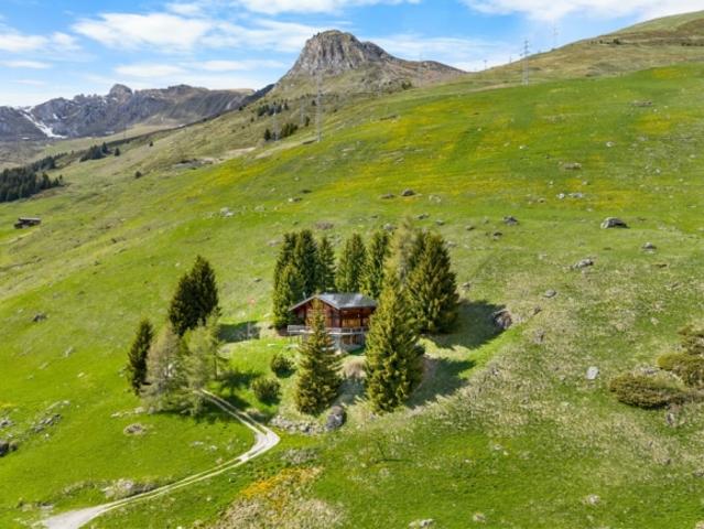 Einfamilienhaus kaufen in Verbier, Wallis