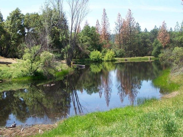 Land for sale in Oakhurst, Madera County