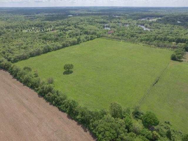 Land for sale in Carthage