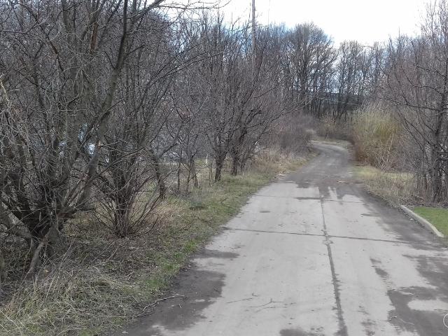 Участок аренда в Хорошево, Донецкой области