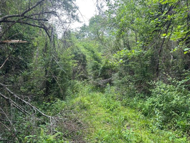Land for sale in Tennessee
