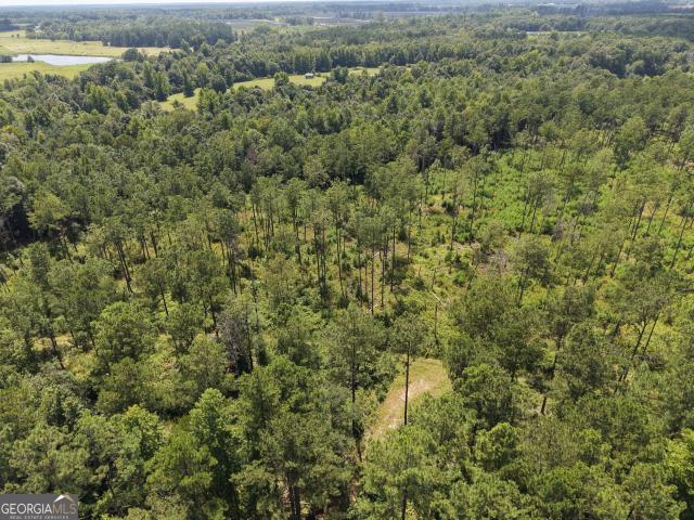 Land for sale in Davisboro, Georgia