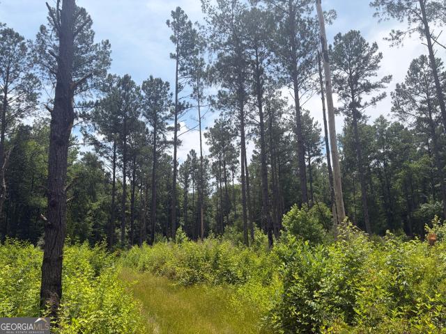 Land for sale in Davisboro, Georgia