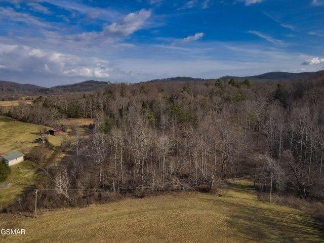 Land for sale in Tennessee