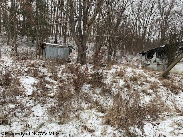 Land for sale in Elkins, West Virginia