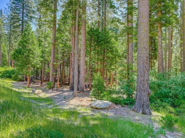 Land for sale in Arnold, California