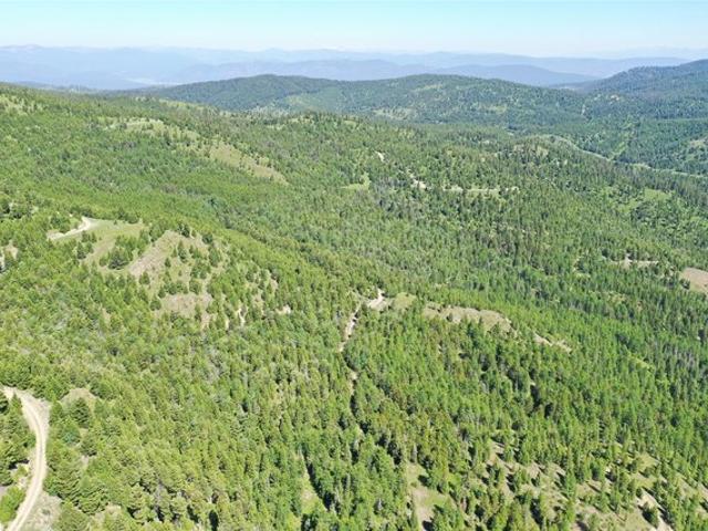 Land for sale in Granite, Montana