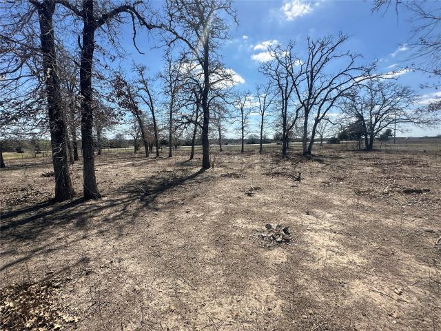 Land for sale in Flatonia, Texas