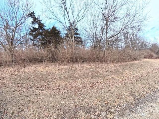 Land for sale in Putnam, Illinois