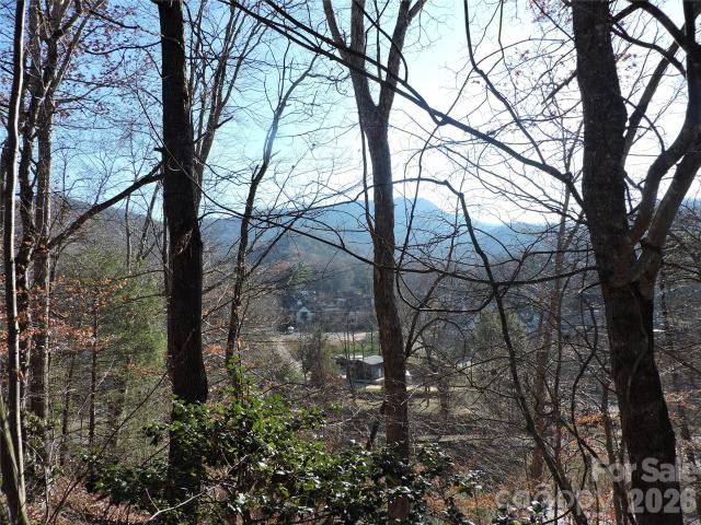 Land for sale in Black Mountain, North Carolina