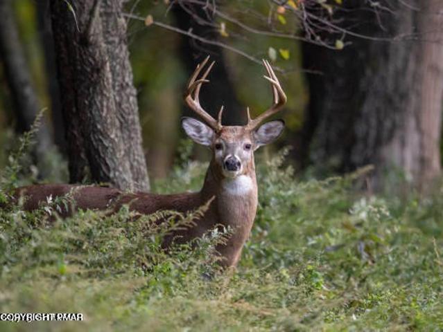 Land for sale in Lake Ariel, Pennsylvania