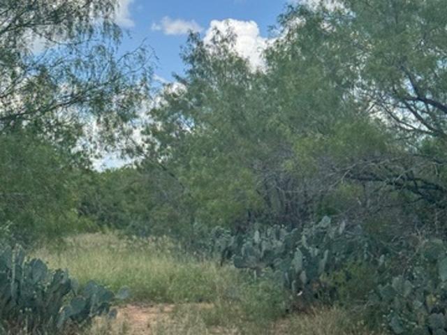 Land for sale in Jourdanton, Texas