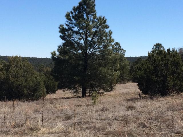 Land for sale in Placitas, New Mexico