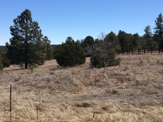 Land for sale in Placitas, New Mexico