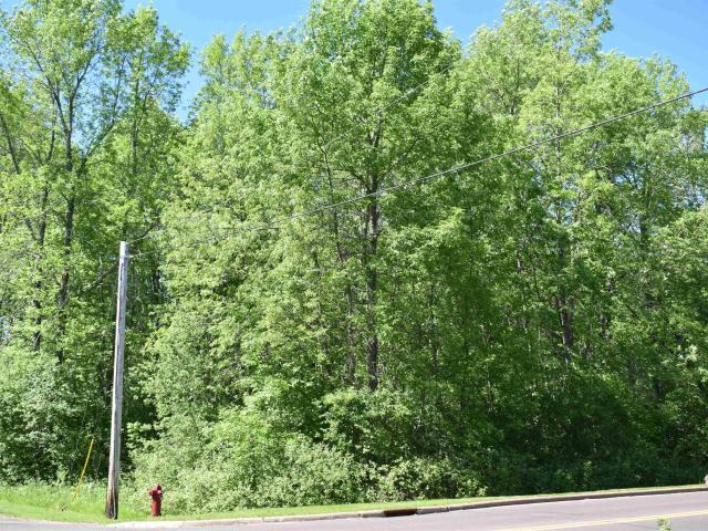 Property for sale in Washburn, Wisconsin