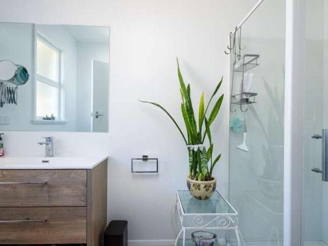 House for rent in Blenheim Central, Marlborough