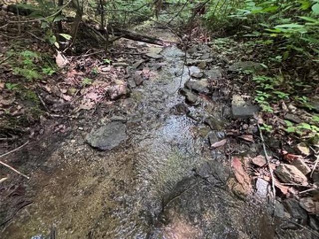 Land for sale in Transylvania, North Carolina