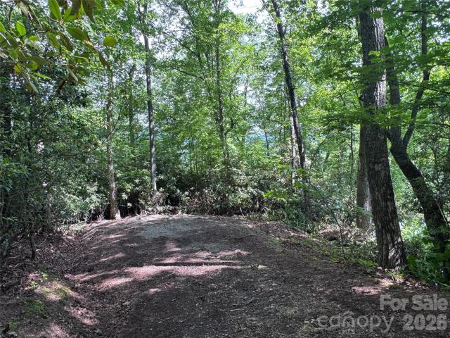 Land for sale in Transylvania, North Carolina